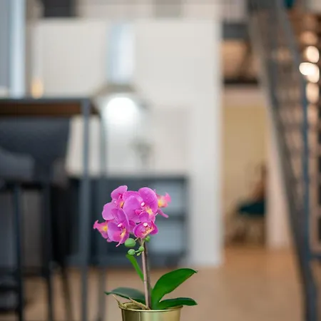 Pv Loft - Modernos Y Comodos Estudios Duplex Cerca A Russafa Appartamento