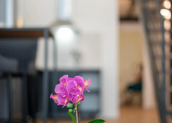 Pv Loft - Modernos Y Comodos Estudios Duplex Cerca A Russafa アパート